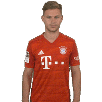 Champions League Football Sticker by FC Bayern Munich