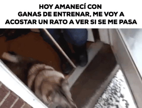 wolfpack GIF