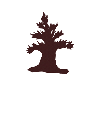 Zion National Park Sticker by Southern Utah University