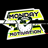 PanathinaikosFC pao panathinaikos paofc panathinaikosfc GIF