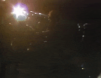 Belinda Carlisle Gogos GIF by The Go-Go's
