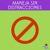 consejos GIF by traficozmg