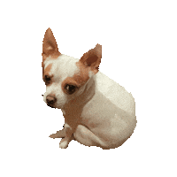 Dog Museum Sticker by Museo de la Moda