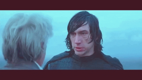 ricardojames51 giphygifmaker starwars bernie warren GIF