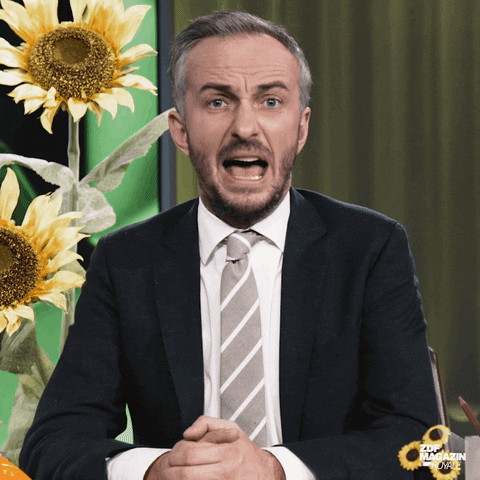 Jan Böhmermann Wütend GIF by ZDF Magazin Royale