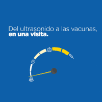 GIF by CIAM 