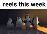 Happy Penguin GIF