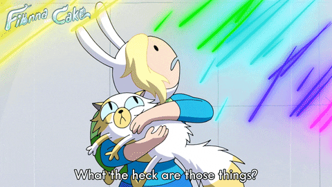 Adventure Time Fionna And Cake GIF by Cartoon Network