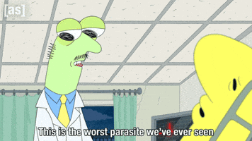 The Worst Wtf GIF by Adult Swim