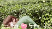 Happy Love You GIF