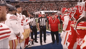Super Bowl Sport GIF by NFL