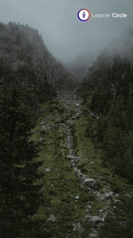 GIF by Learner Circle