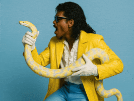 Zoo Reptile GIF by Jukebox Saints
