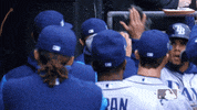 gomez carlos GIF by MLB