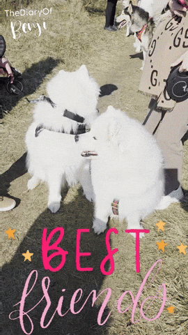 Friends Love GIF