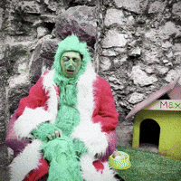 Jim Carrey Max GIF by Nespolo Giullare