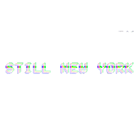 new york glitch Sticker by MAX