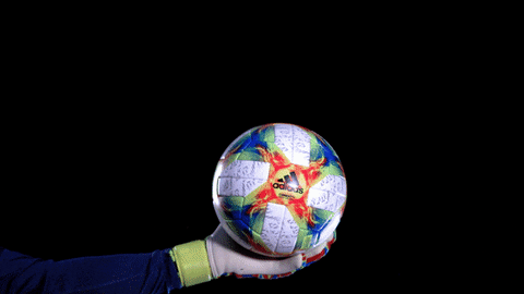 dfb-teams giphyupload ball germany dfb GIF