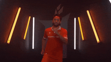 Hamilton Forge GIF by Hamilton Sports Group