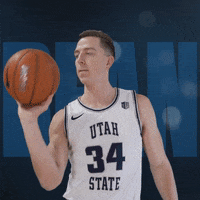 Usu GIF by USUAthletics