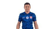Celebration Goal Sticker by Slovensky futbalovy zvaz
