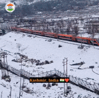 Made In India GIF