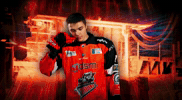 Ice Hockey Steelers GIF