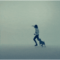 Bite My Tongue Dancing GIF by Steve Lacy