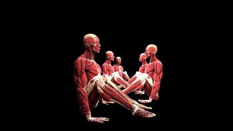 ppmff giphyupload GIF