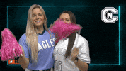 Sports Team Sport GIF by Carson-Newman Athletics