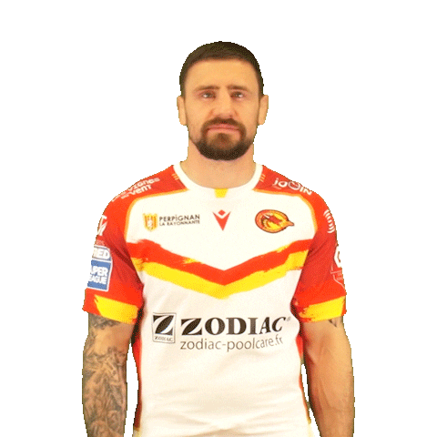Rugby League Sticker by Dragons Catalans