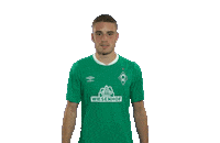 Football Bundesliga Sticker by SV Werder Bremen