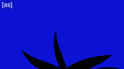 Dragon Ball Smile GIF by Adult Swim