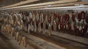 viceland GIF by F*CK, THAT'S DELICIOUS