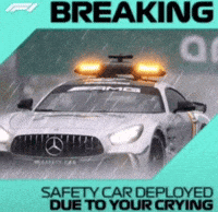 Formula 1 Cry GIF