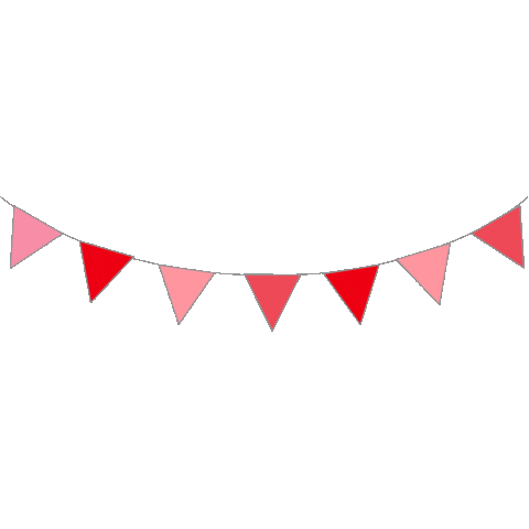 Party Birthday Sticker by Zettje-mijn-leven