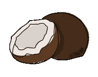 plentinaturals summer sun fruit coco Sticker