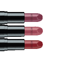 Makeup Lipstick Sticker by artdeco_cosmetics