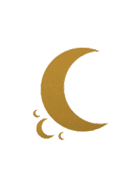 Moon And Stars Pink Sticker by Lime Crime