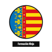 Comunidad Valenciana Flag Sticker by Formación Ninja