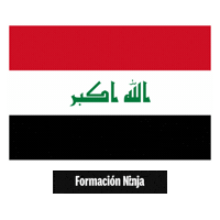 Iraq Flag Sticker by Formación Ninja