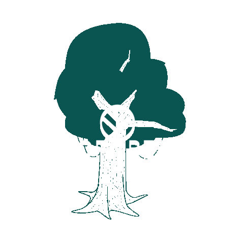 GoForest forest trees wood woods Sticker