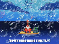 season 6 GIF by SpongeBob SquarePants