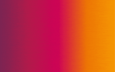 Wahlen GIF by BSW Köln