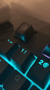 GIF by MANGOTEETH