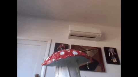 WiiliamW giphyupload GIF
