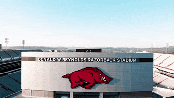 College Football Hogs GIF by Arkansas Razorbacks