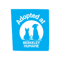 Adoptdontshop Sticker by Berkeley Humane