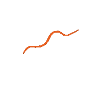 Wave Orange Sticker