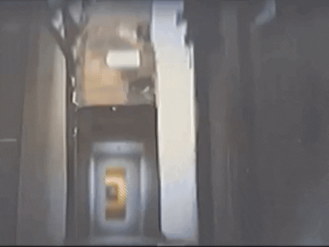 Footage Oaf GIF by jorgemariozuleta